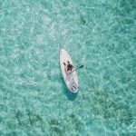 paddle board