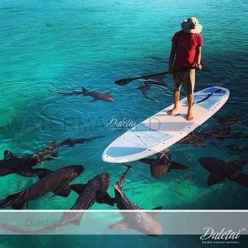 double chamber paddle board